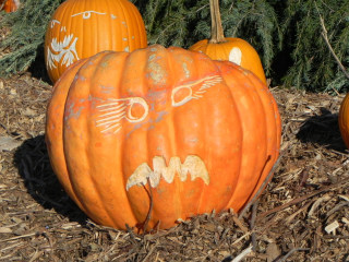 Motor Biker, Nipomo Pumpkin Patch best carving idea